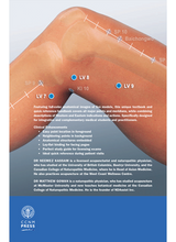 Load image into Gallery viewer, Fundamentals of Naturopathic Clinical Acupuncture